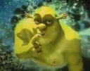 shrek