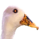 go