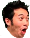 pog pog