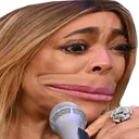 wendysadge