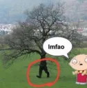 lmfao