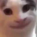 bruh_cat