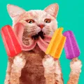 CatTongue