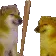 bonkdoge