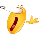 wtf