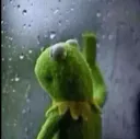 frog_sed