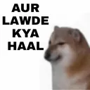 cc_lwde