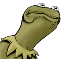 KermitMad4