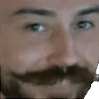 stmBrows