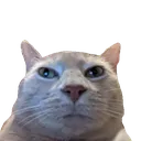 bruh