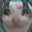 XiaoSadCat