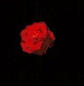 SMU_TuxedoMaskRose SMU_TuxedoMaskRose