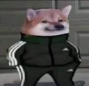IA_Dogesweg Discord Emoji