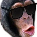 CoolApe CoolApe