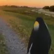 IJustCantDoThisAnymore IJustCantDoThisAnymore