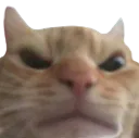 angrygato