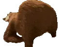 beartwerk