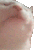 VibinCat_SB Discord emoji