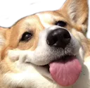 TFA_Wubby TFA_Wubby