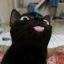 catDESPY