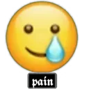 Pain