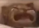 WAAAaaaaAAAAa WAAAaaaaAAAAa
