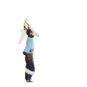 flopvoi