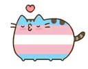 Cat Trans Discord Emoji