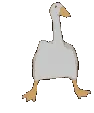 goosgroove