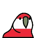 austriaparrot