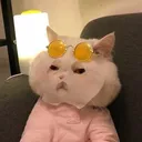 catMask