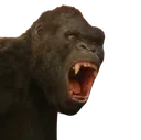 Kong_SCREAM