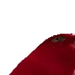 birbstare