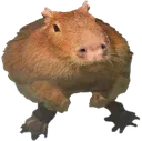 Capyfighta