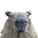 Gort Gort