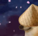 cheemsninja cheemsninja