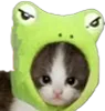 nya nya