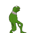 KermitDanceParty Discord emoji