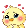 Chicklove Chicklove