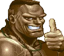 OLEDJ