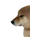 hehe hehe