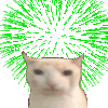 BruhCatFireworks Discord Emoji