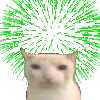 BruhCatFireworks