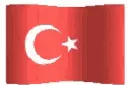 bestflag bestflag