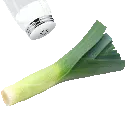 SaltyLeek