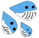whalecum