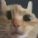Gatiwi_sosdarlin Discord emoji
