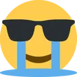 bigducITSFINE