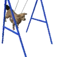 dogswing dogswing