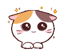 Cat Plead Discord Emoji